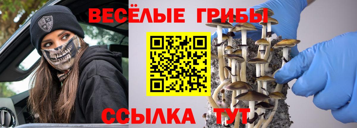 Псилоцибиновые грибы GOLDEN TEACHER Орехово-Зуево