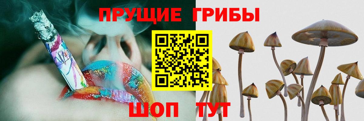 Орехово-Зуево  Галлюциногенные грибы прущие грибы  Вход с VPN 